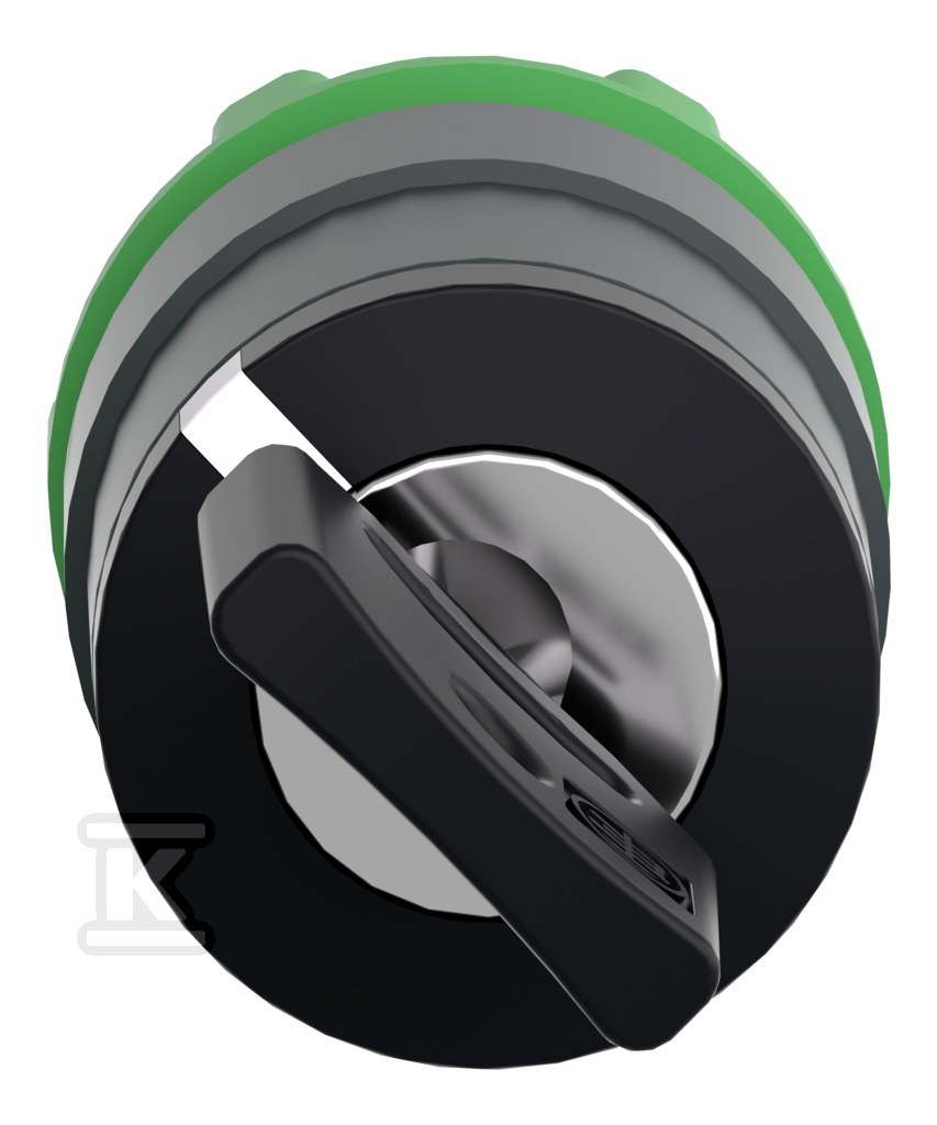 Interruptor de 2 posições com chave - ZB5AG6